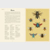 Insectarium | Welcome to the Museum